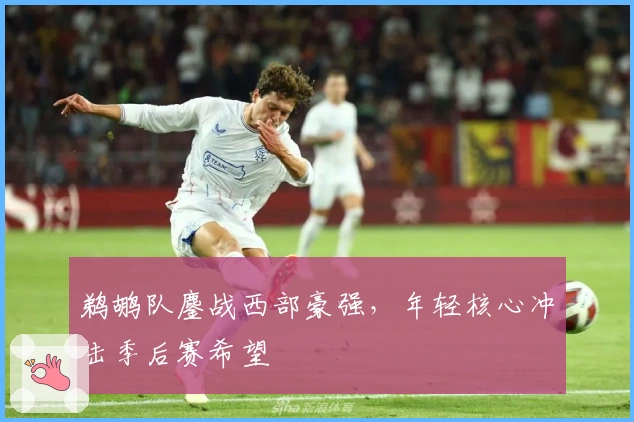 鹈鹕队鏖战西部豪强，年轻核心冲击季后赛希望